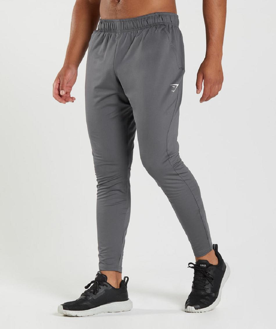 Gymshark Sport Muške Jogger Hlače Sive | HR 2942WNB